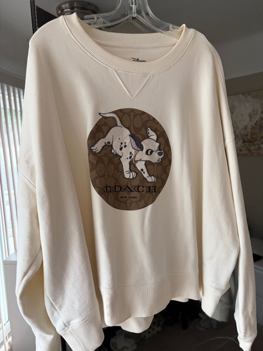 Coach x Disney hoodie